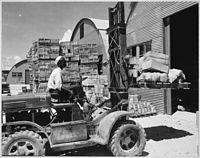 Old Forklifts 